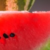 slice of watermelon