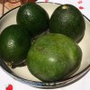 huge avocados and mango in a bowl