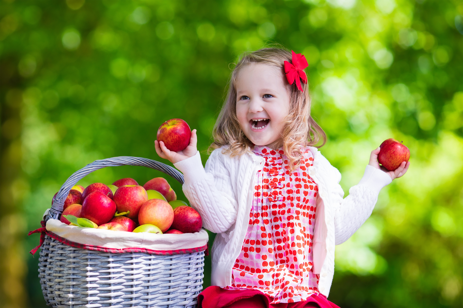 Little Girl Picking Apples In Fruit Orchard Denise Canellos, MS, CNS