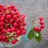 Fresh cherries in a bowl