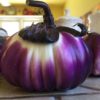 Italian eggplant from my garden