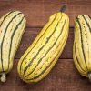delicate winter squash